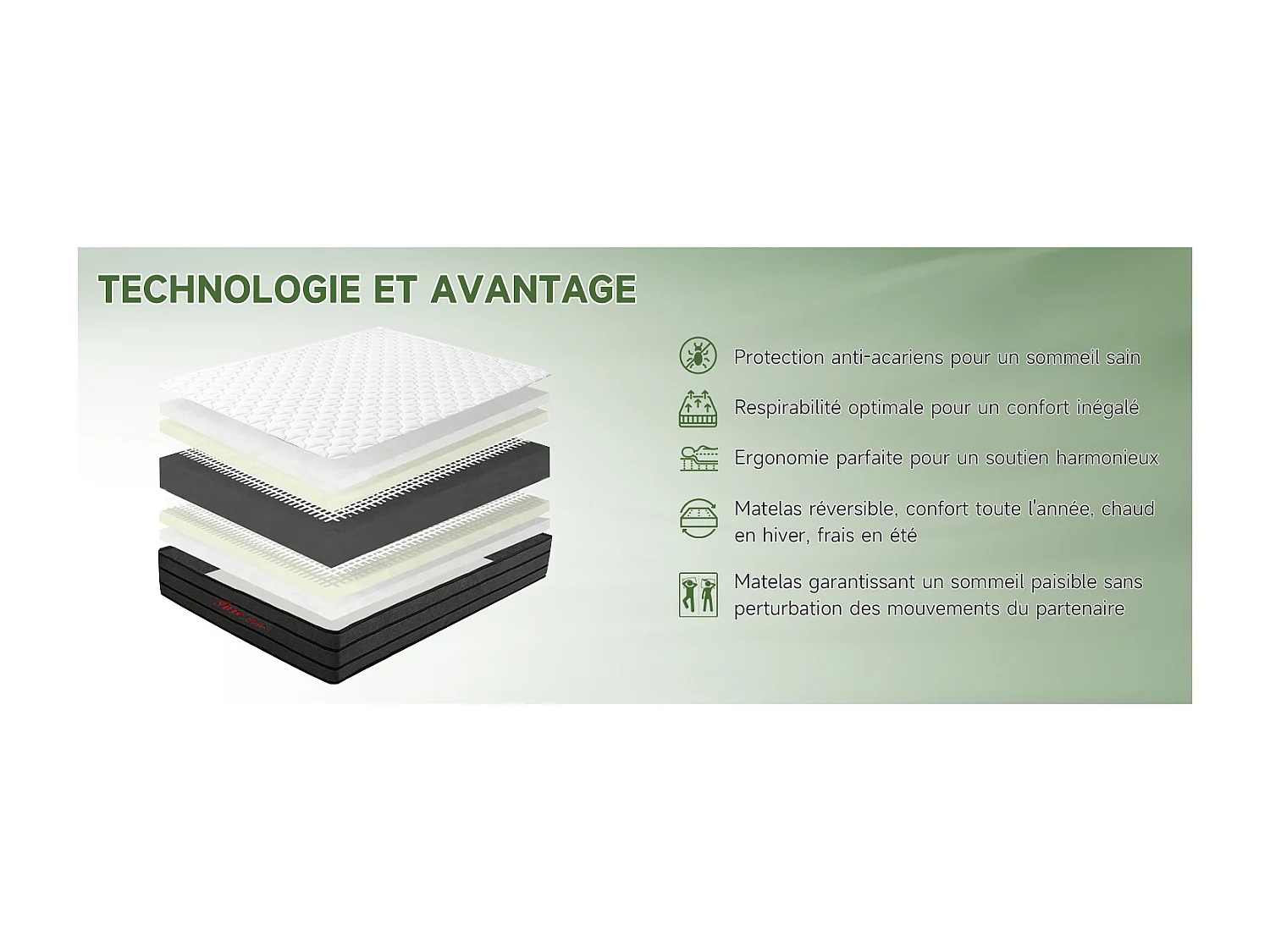 Matelas 160x200 cm INRE Très épais 25 cm Mousse mémoire de forme, Réversible Soutien Parfait, Hypoallergénique