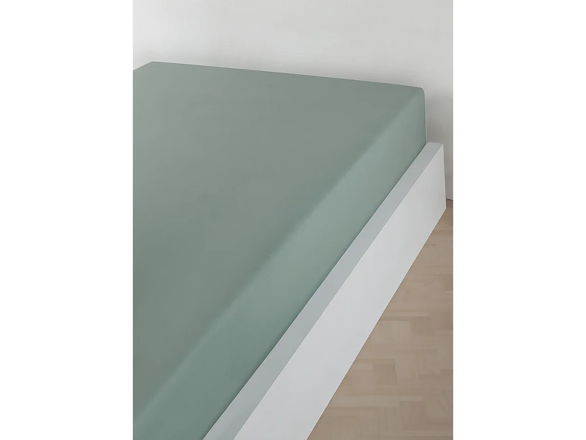 Drap housse jersey 100% coton céladon
