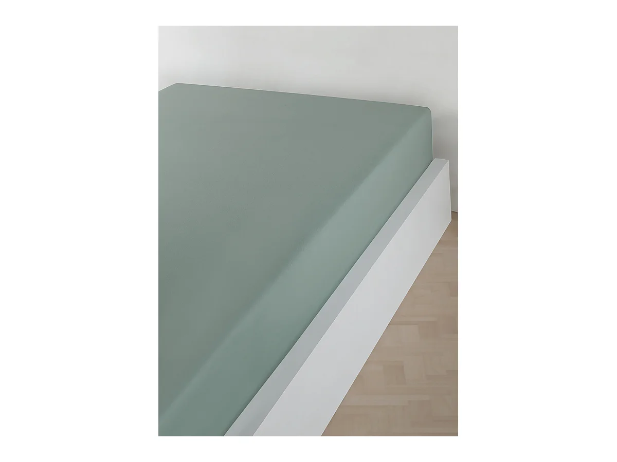 Drap housse jersey 100% coton céladon