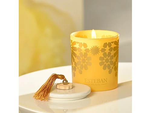 Bougie décorative parfumée rechargeable ambre 170 g