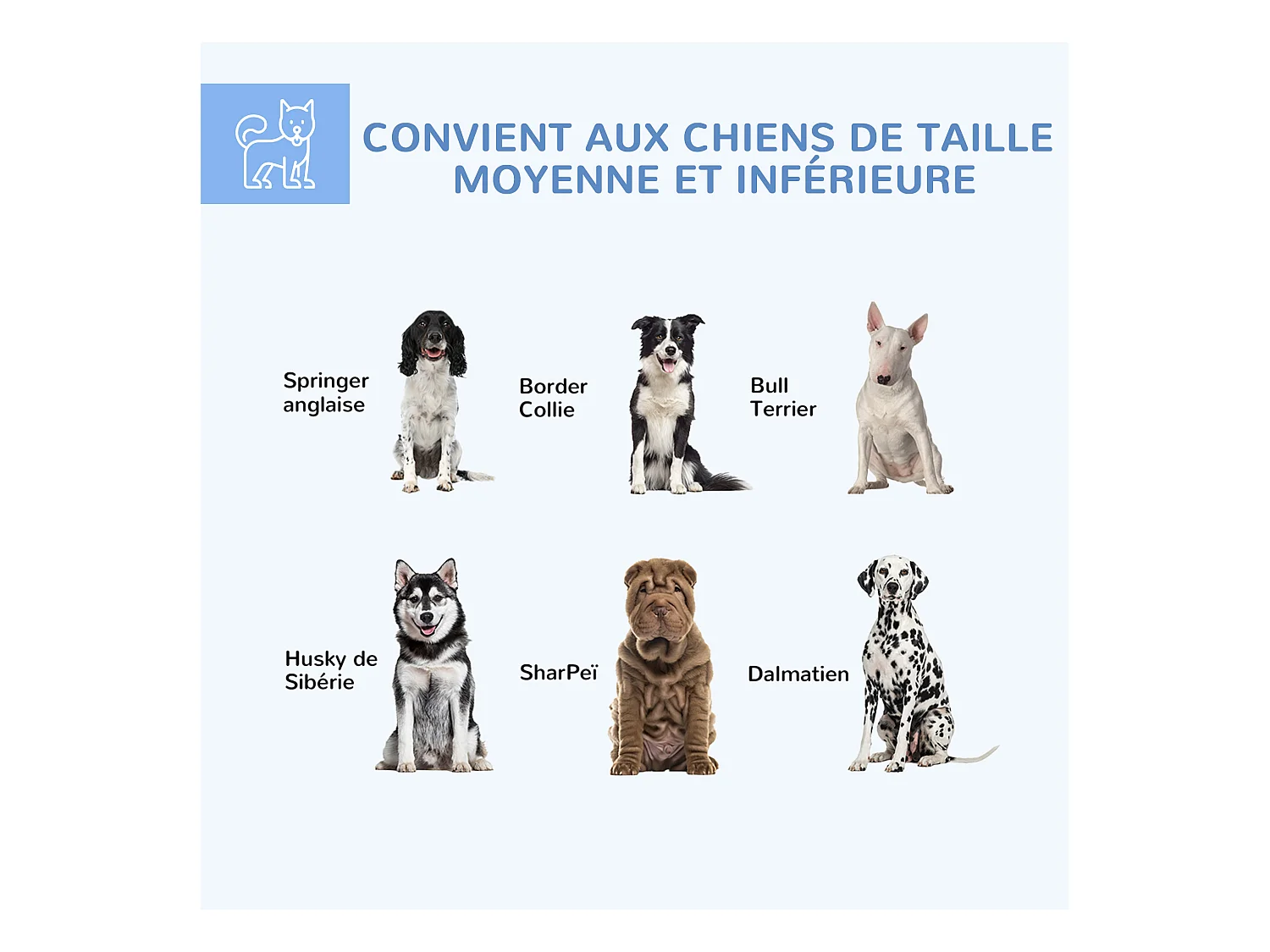 Chenil pour chien entièrement couvert - enclos chien - dim. 210L x 185l x 120H cm - porte verrouillable - acier galvanisé gris
