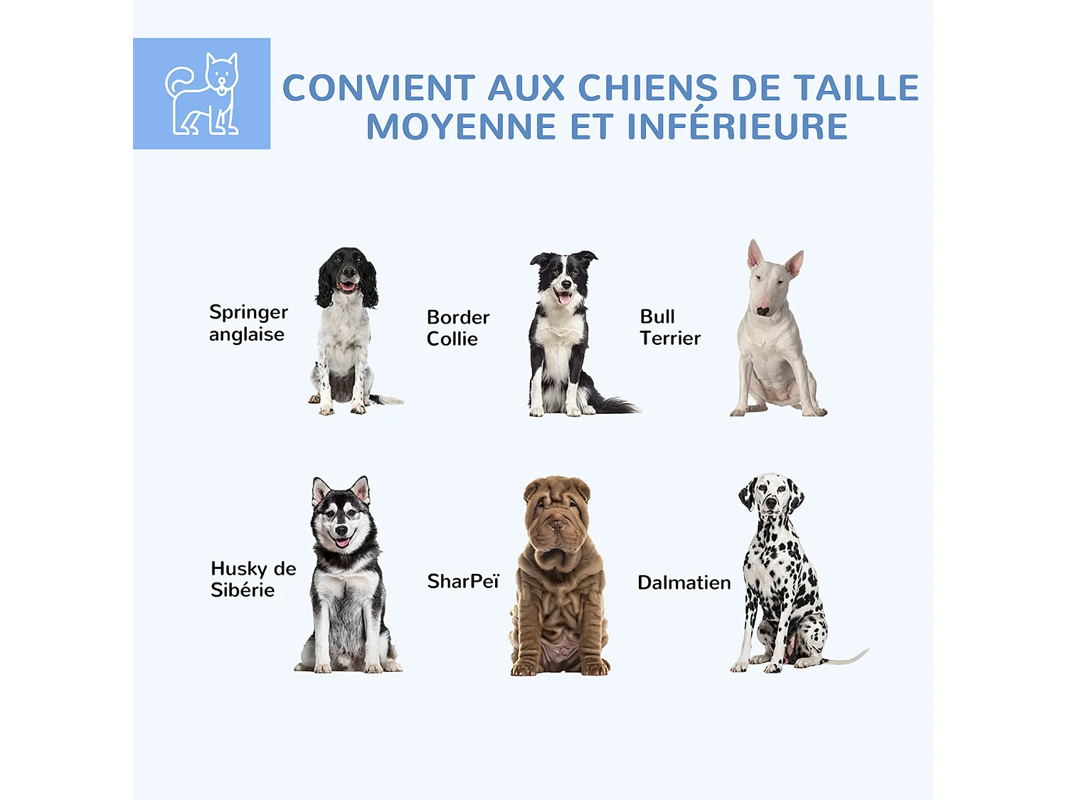 Chenil pour chien entièrement couvert - enclos chien - dim. 210L x 185l x 120H cm - porte verrouillable - acier galvanisé gris
