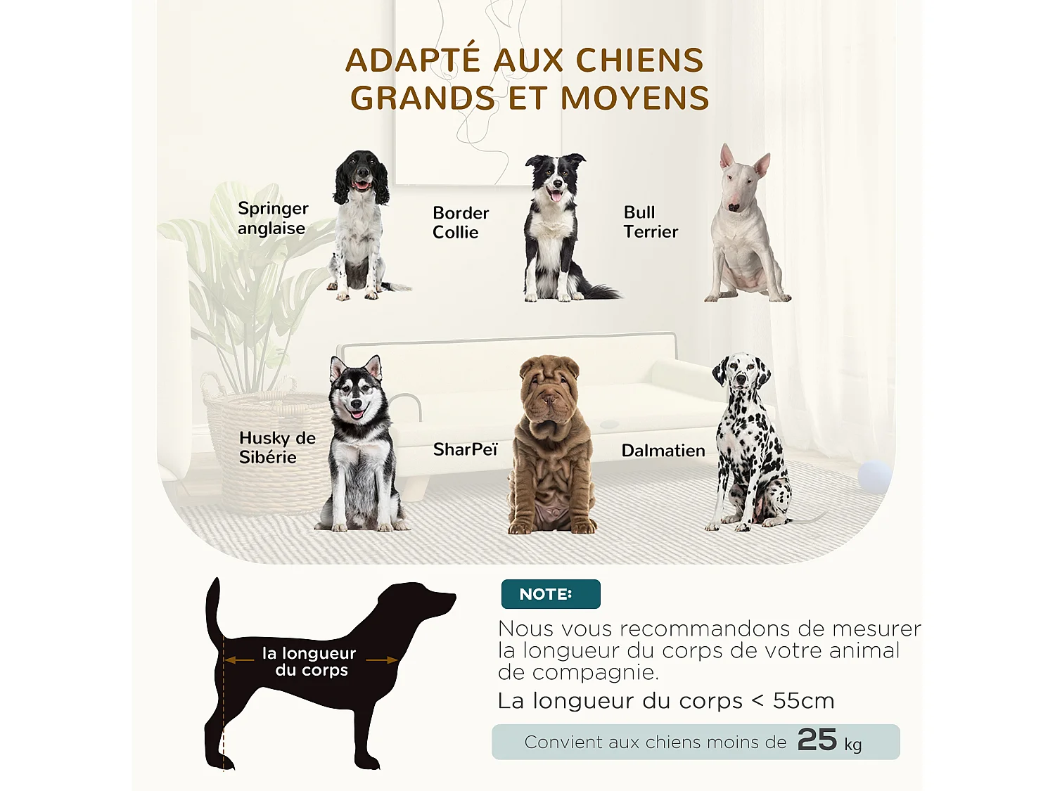 Canapé chien lit pour chien design scandinave coussin moelleux piètement bois dim. 100L x 62l x 32H cm polyester beige
