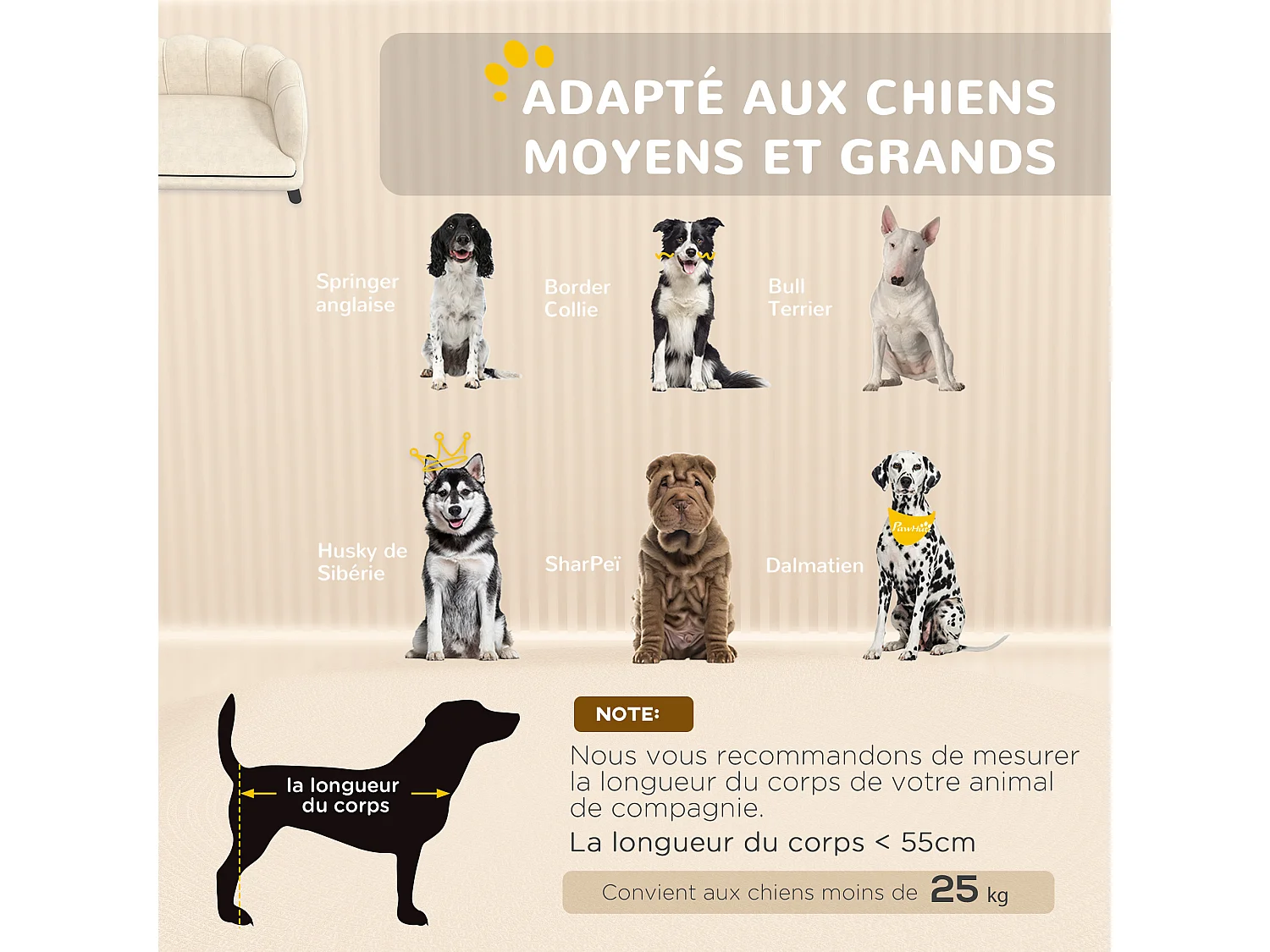 Canapé chien lit pour chien chat design contemporain coquillage dim. 98L x 60l x 35H cm coussin moelleux velours crème