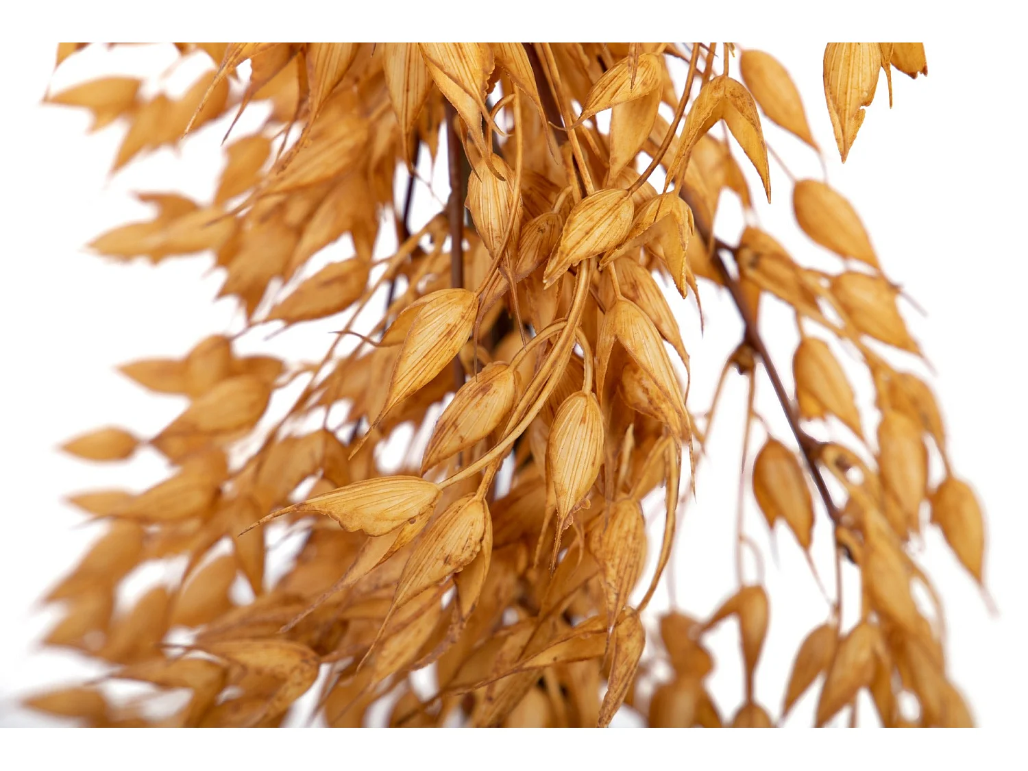 Guirnalda Floral 28x28x140 Cm