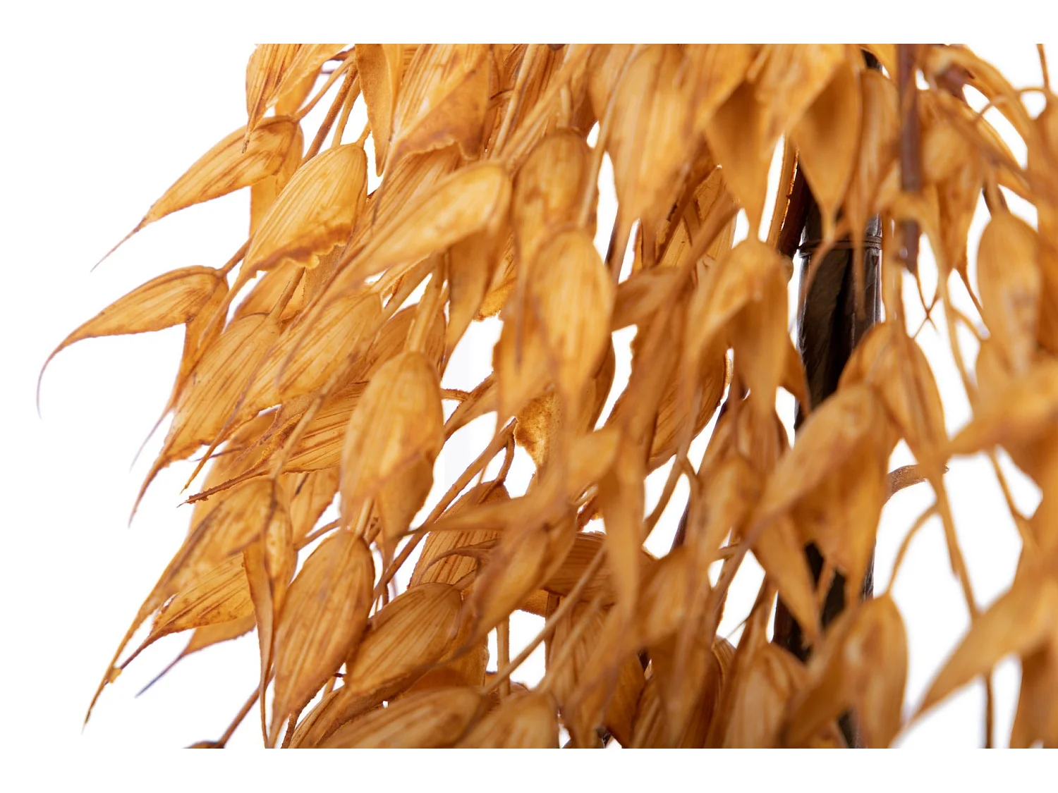 Guirnalda Floral 28x28x140 Cm