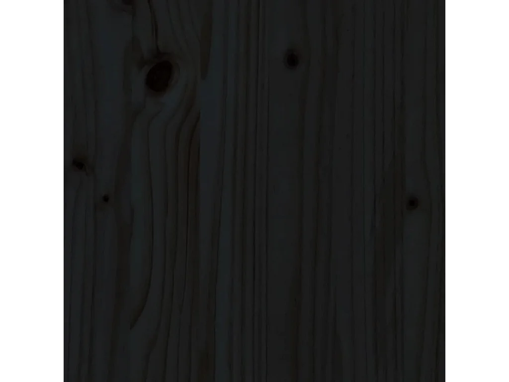 Salon de jardin 2 pcs noir bois massif de pin