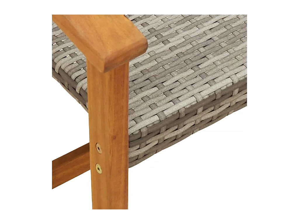 Chaises de jardin lot de 2 gris résine tressée et bois d’acacia