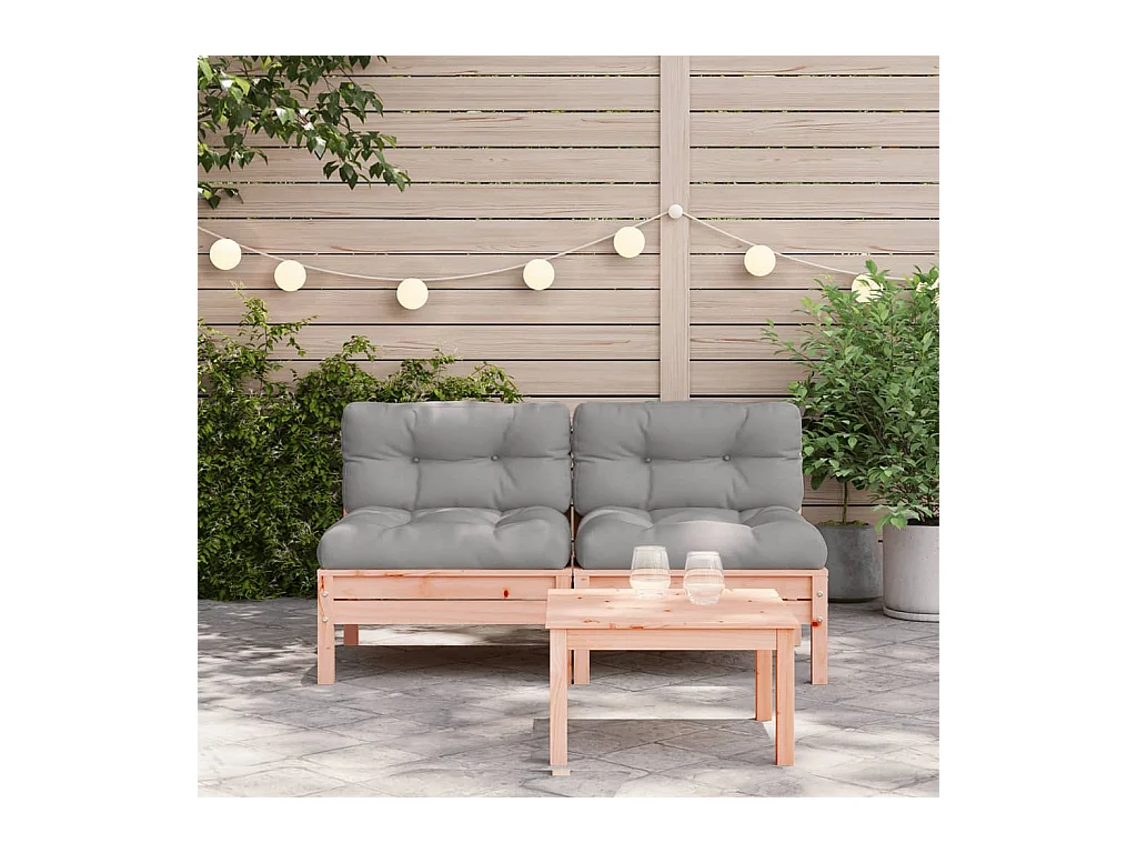 Tuinbank zonder armleuningen en kussens 2 stuks douglas hout