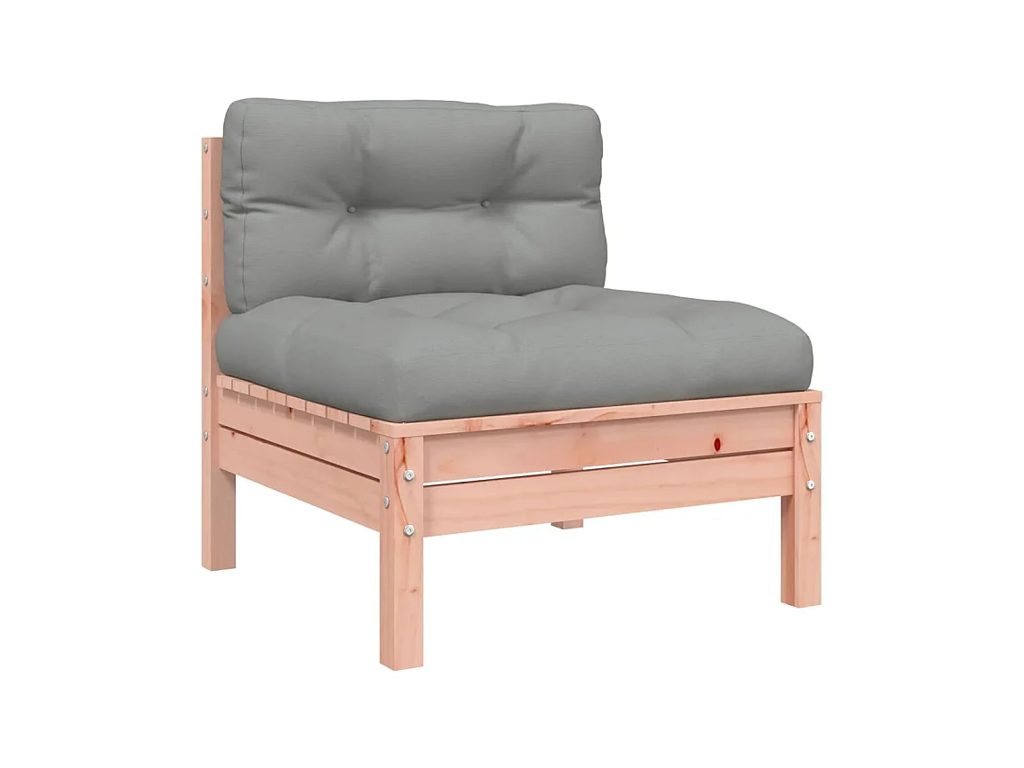 Tuinbank zonder armleuningen en kussens 2 stuks douglas hout