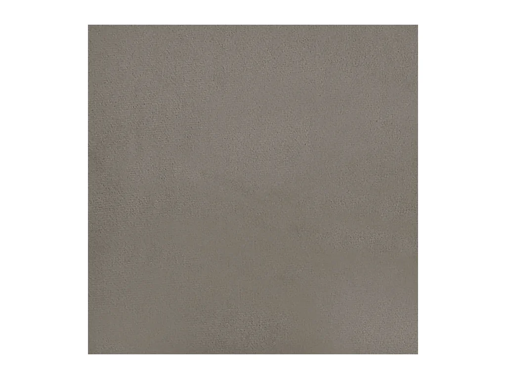 Canapé-lit à 2 places avec deux oreillers Gris clair Velours