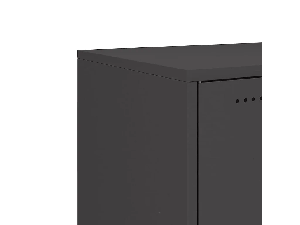 Credenza Nera 100,5x39x72 cm in Acciaio