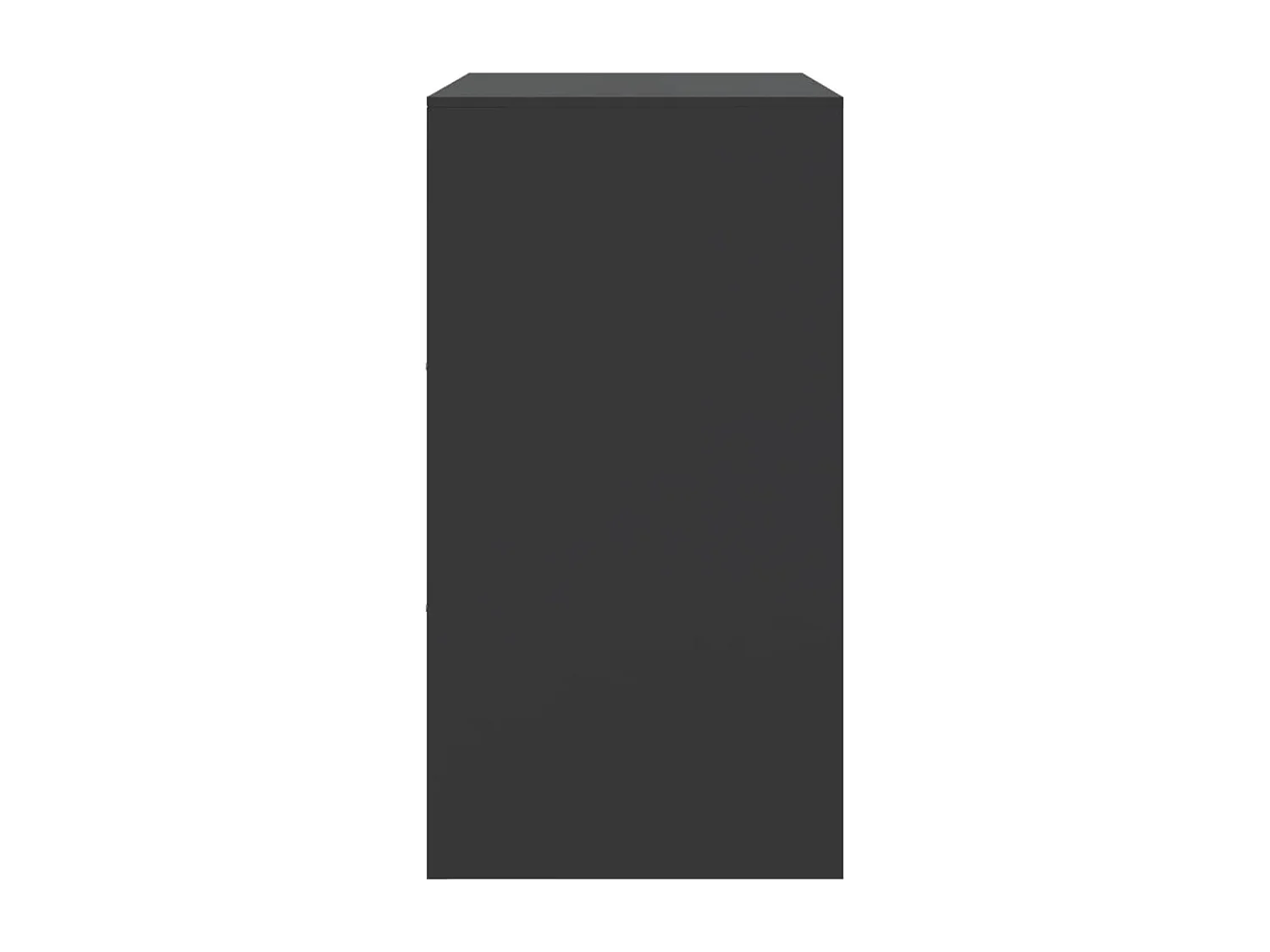 Sideboard Schwarz 67x39x73 cm Stahl