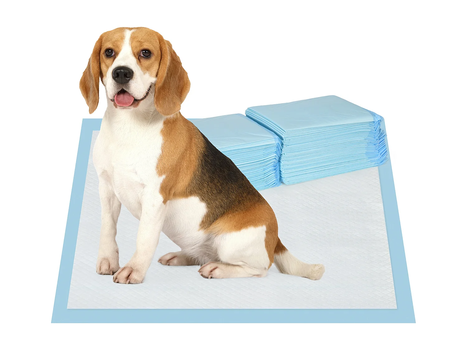 Lot de 80 tapis d'entraînement pour chien, étanche, 6 couches avec surface à séchage rapide, protection, 60 x 60 cm