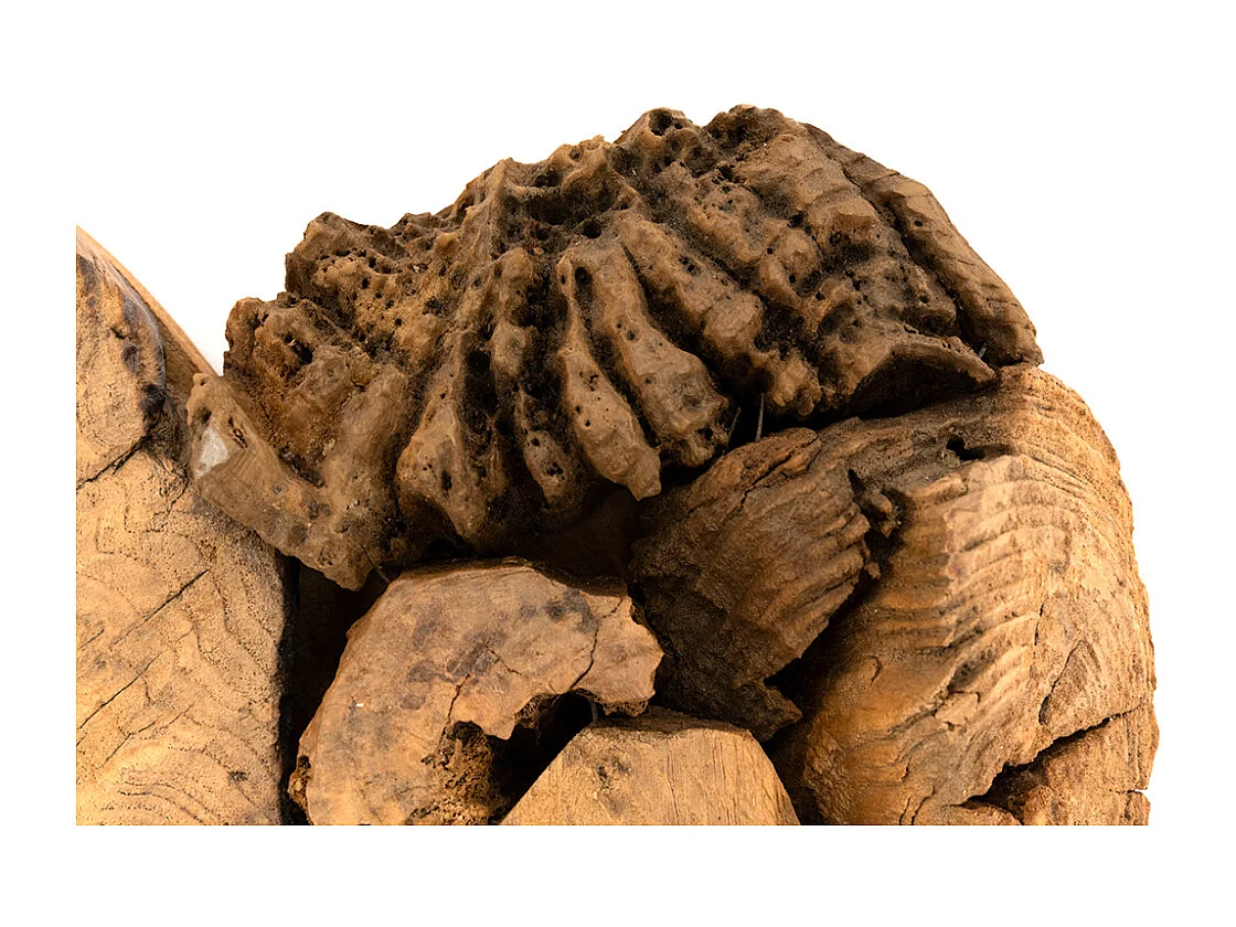 Décor mural Coeur en racine de teck