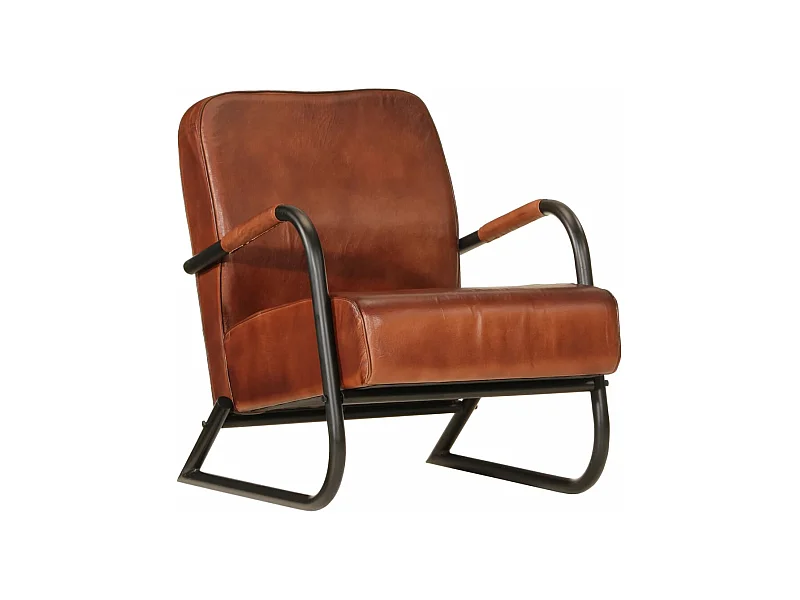 Poltrona Marrone in Vera Pelle