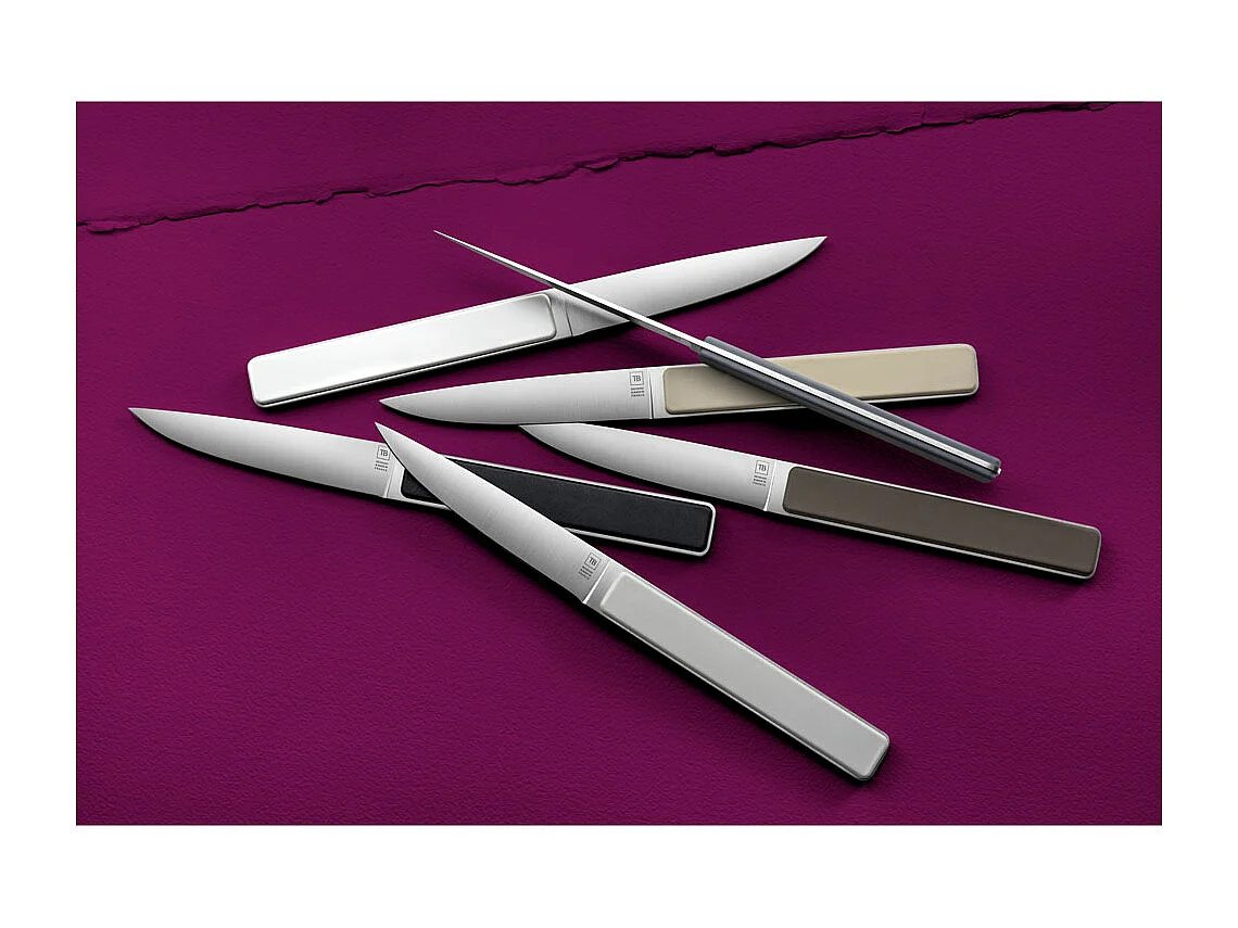 Coffret de 4 couteaux à steak Hector argile, lame lisse