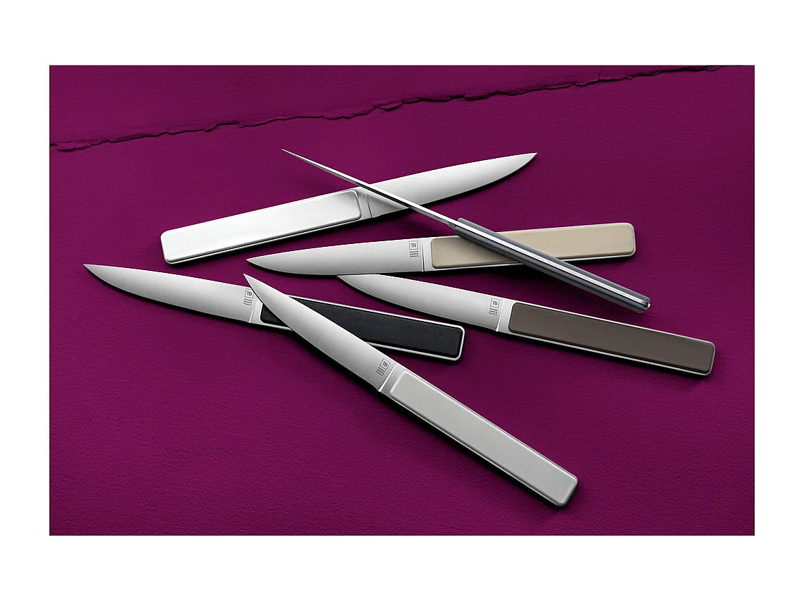 Coffret de 4 couteaux à steak Hector gris taupe, lame lisse