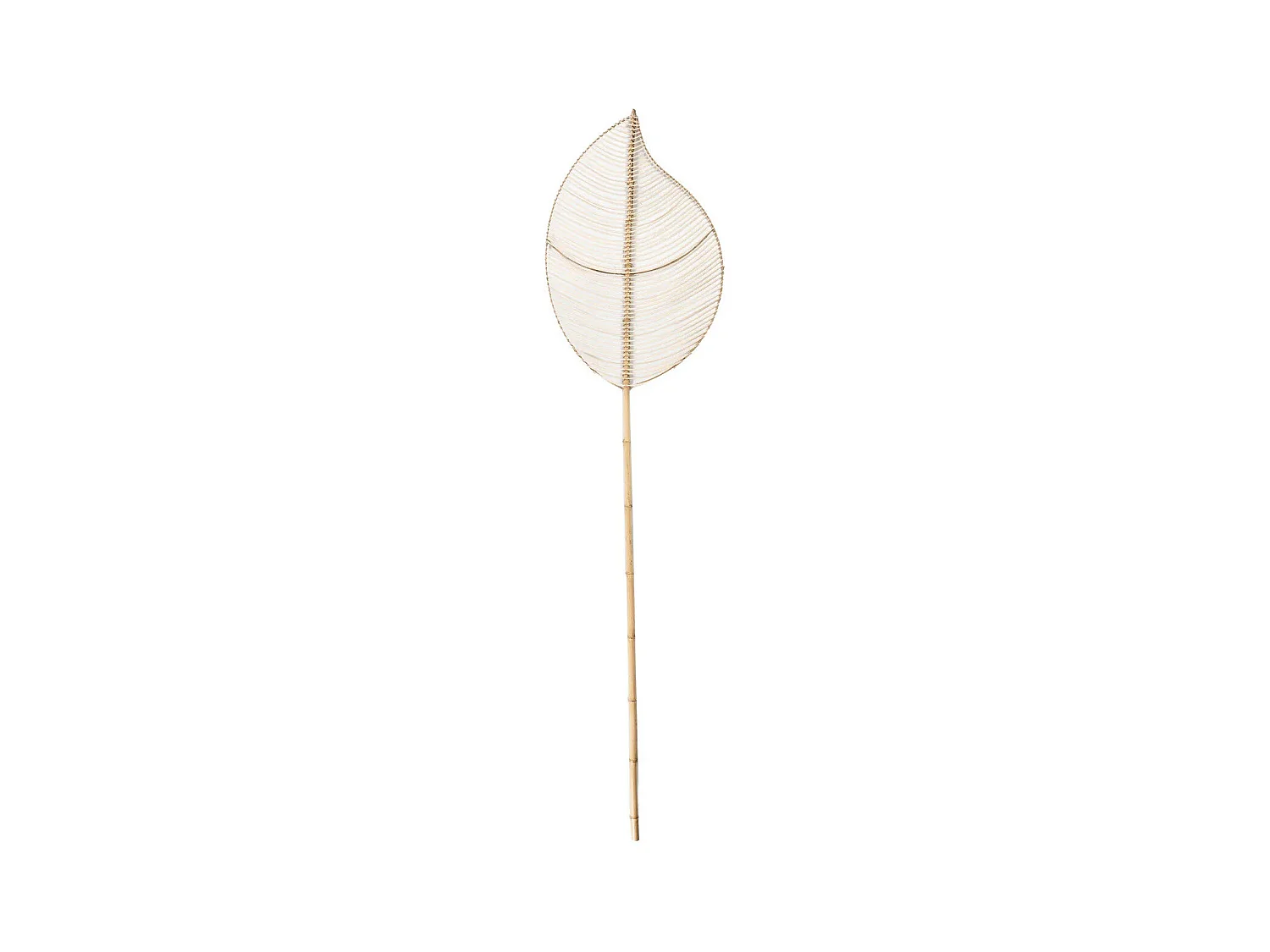 Le Rotin Elliptique - Naturel
