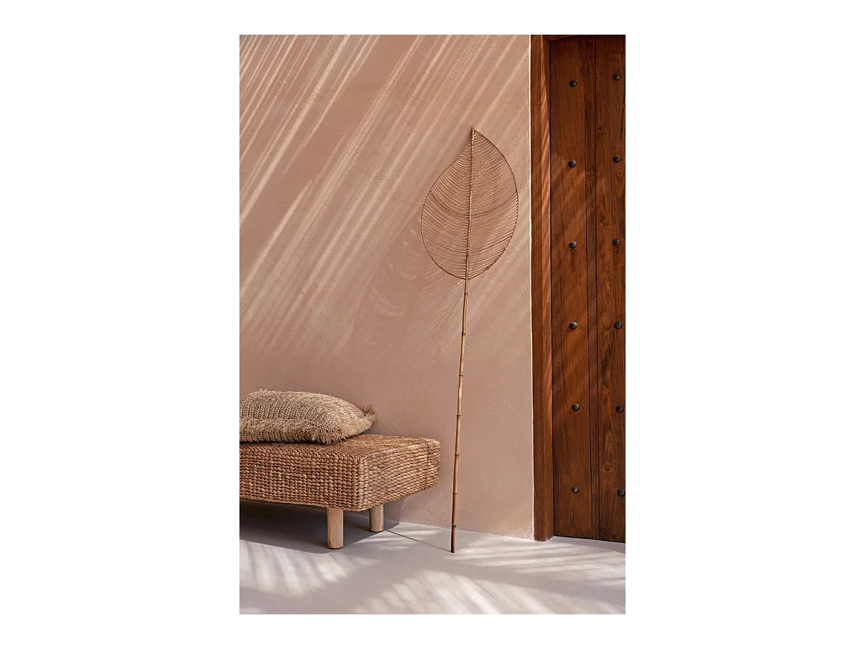 Das Elliptische Rattan - Natur
