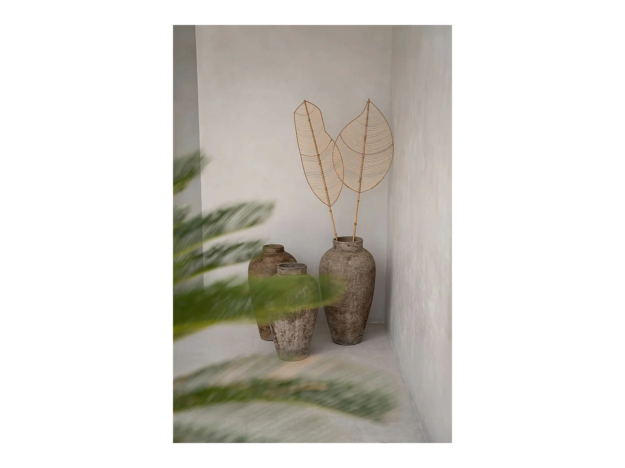 Das Elliptische Rattan - Natur