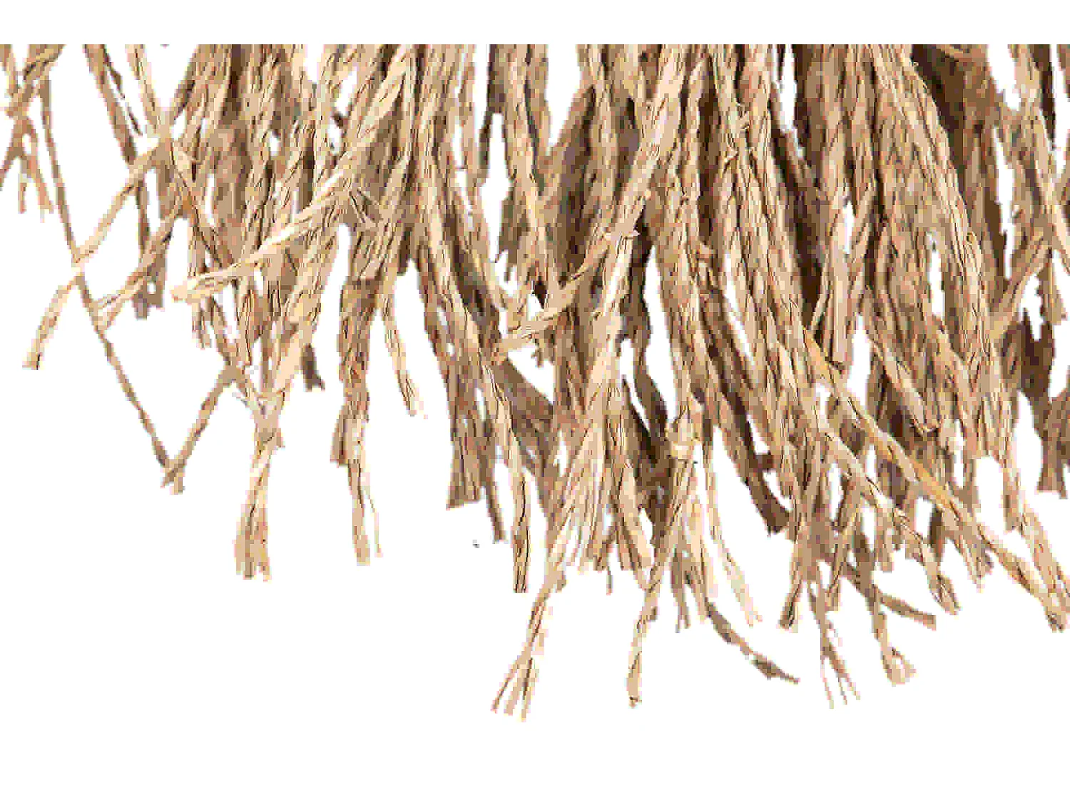 Adorno Pared Algas 36x1x71 Cm