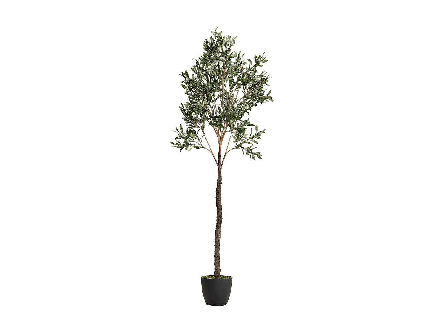 Arbol Olivo 50x50x160 Cm