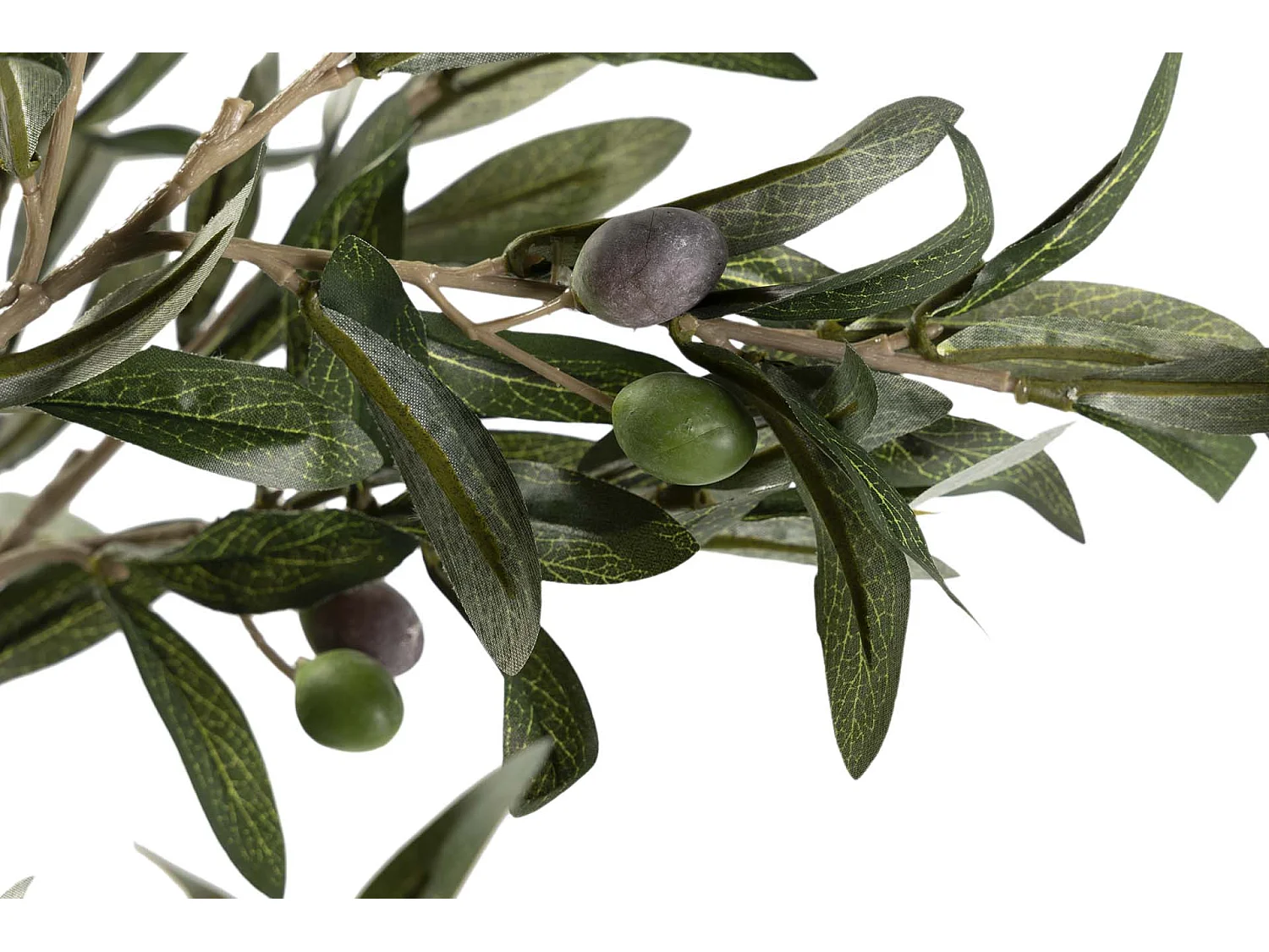 Arbol Olivo 50x50x160 Cm