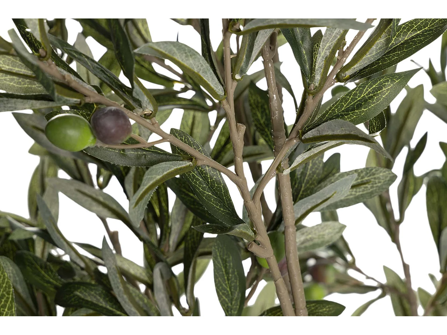 Arbol Olivo 50x50x160 Cm