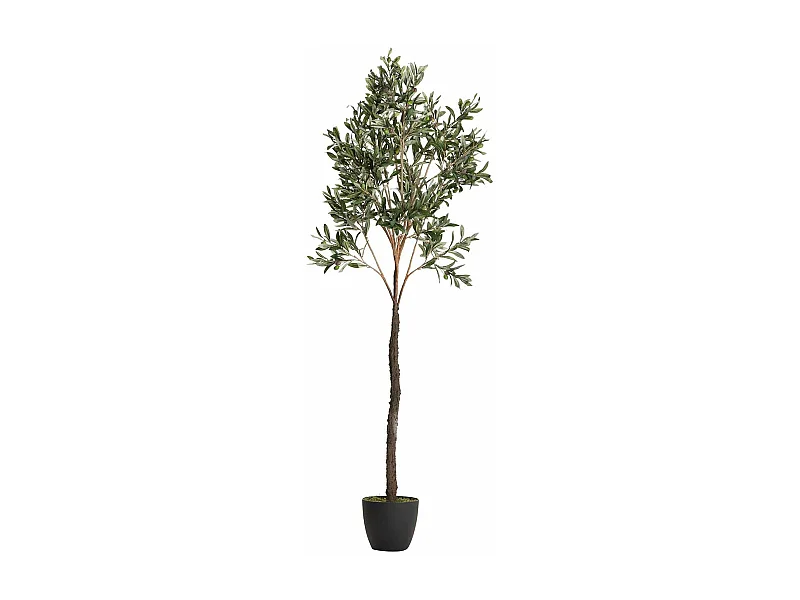 Arbol Olivo 50x50x160 Cm