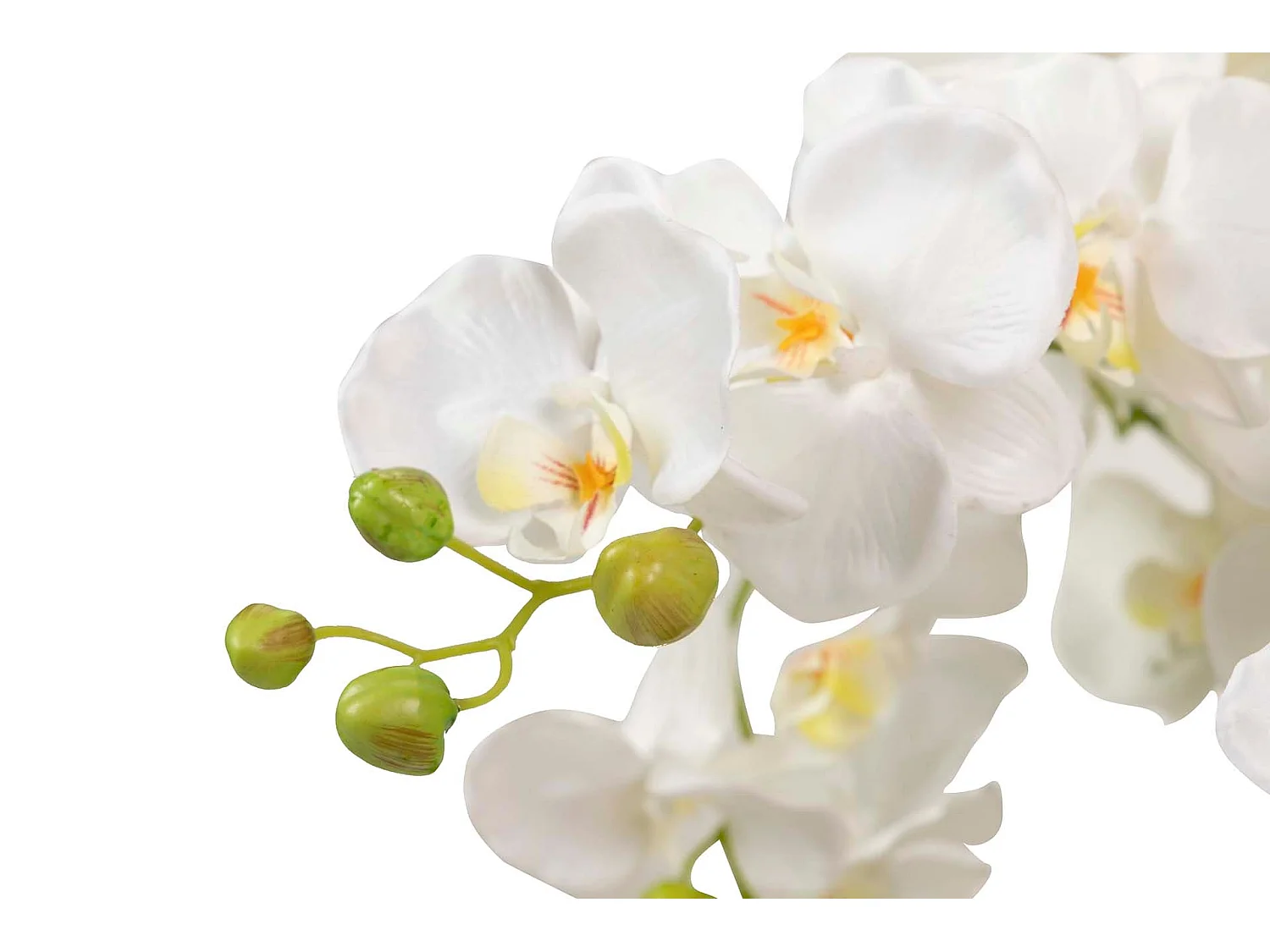 Orquidea Poliester Blanca Con Maceta 70x70x155 Cm