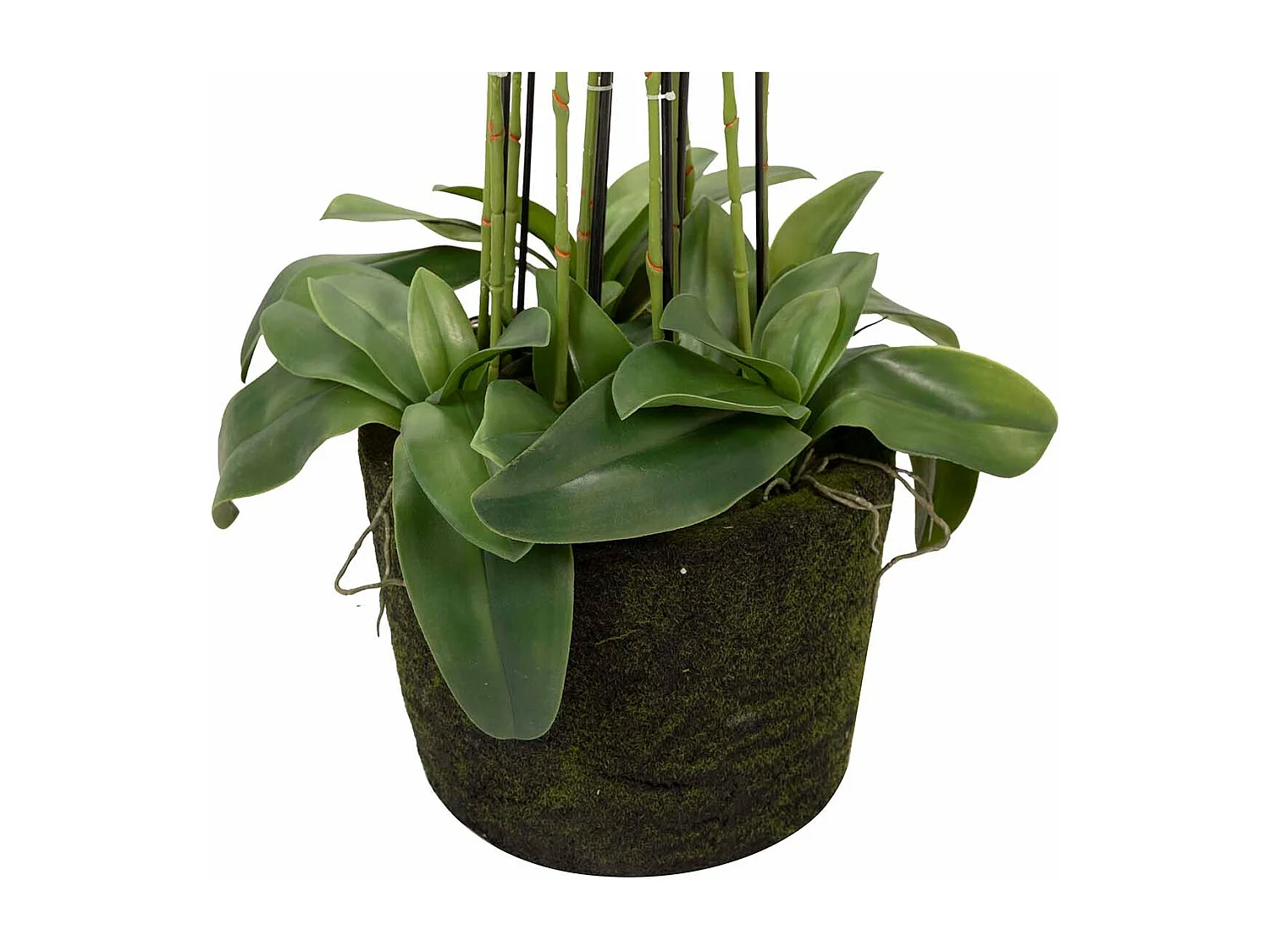 Orquidea Poliester Blanca Con Maceta 70x70x155 Cm