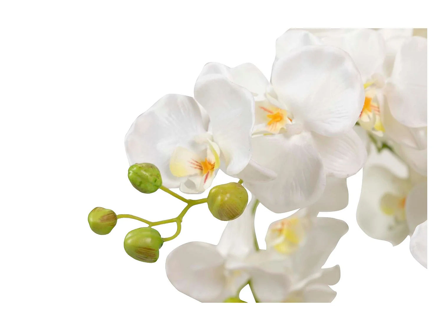 Orquidea Poliester Blanca Con Maceta 70x70x155 Cm