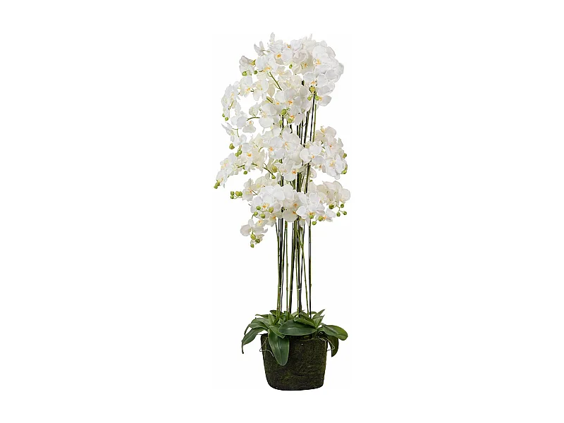 Orquidea Poliester Blanca Con Maceta 70x70x155 Cm