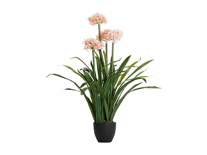 Planta Narciso 70x70x100 Cm