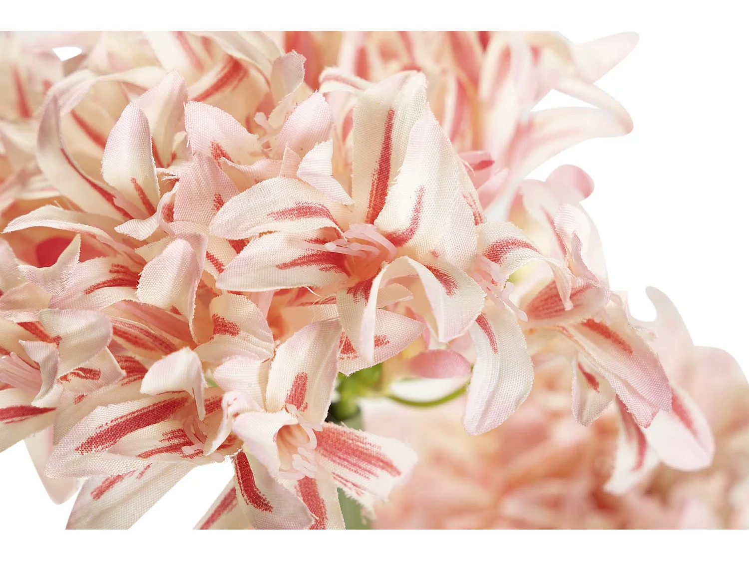 Planta Narciso 70x70x100 Cm