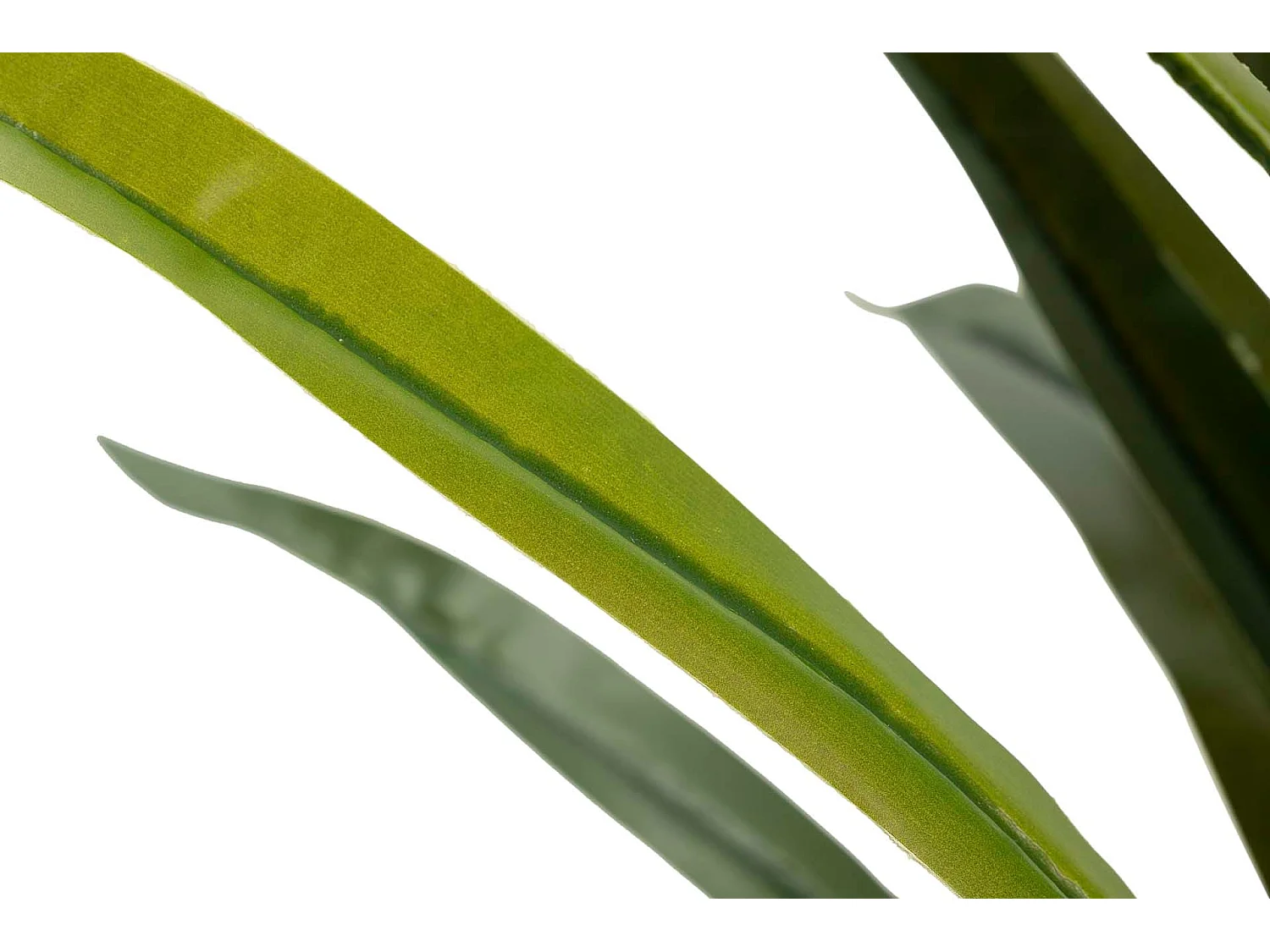 Planta Narciso 70x70x100 Cm