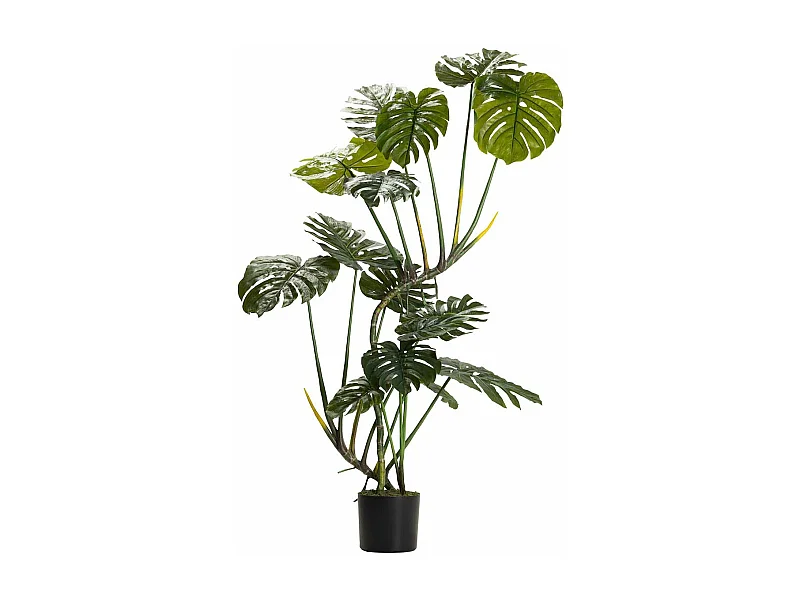 Planta Monstera 110x70x155 Cm