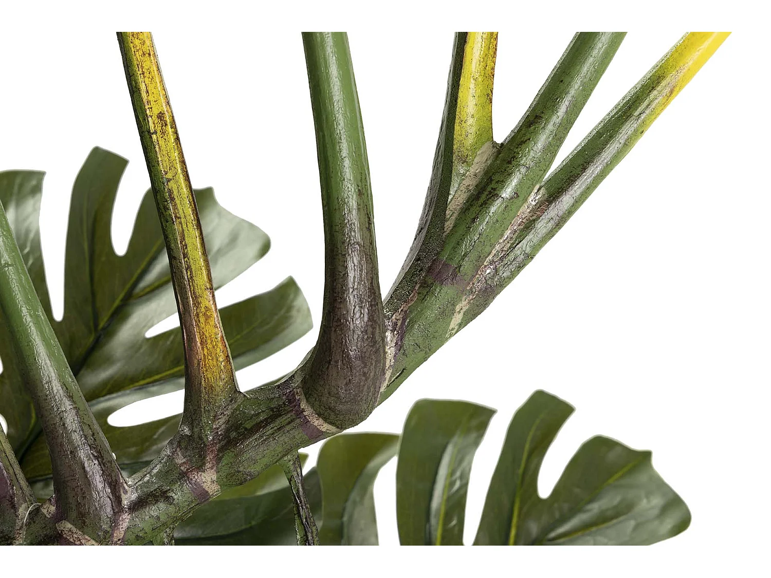 Planta Monstera 110x70x155 Cm