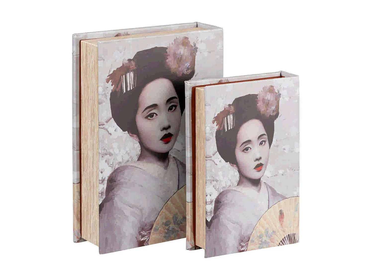 Set 2 Cajas Libro Espejo 21x7x30 / 16x5x24 Cm