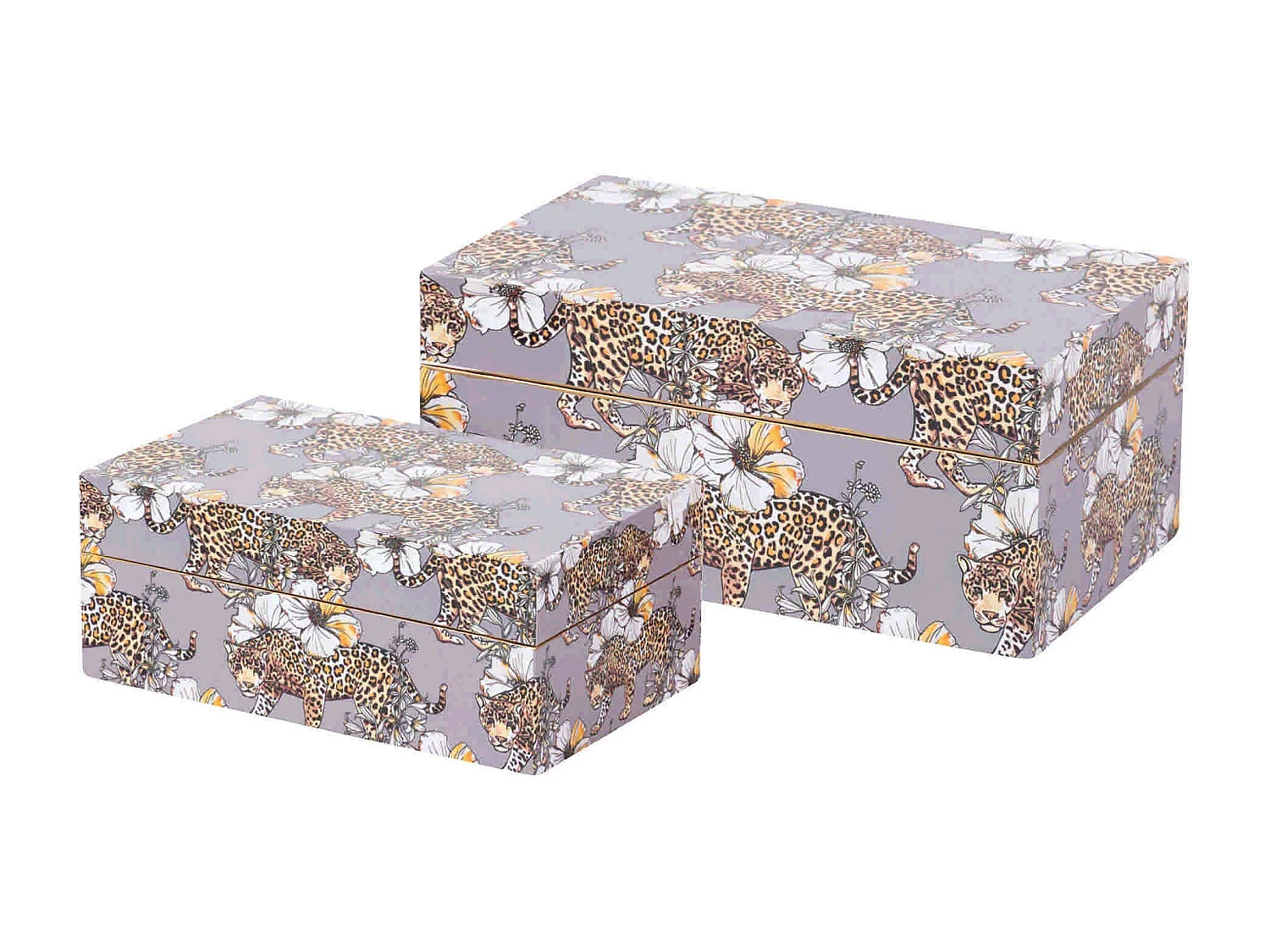Set 2 Cajas Leopardo 25x15x11/20x12x8 Cm
