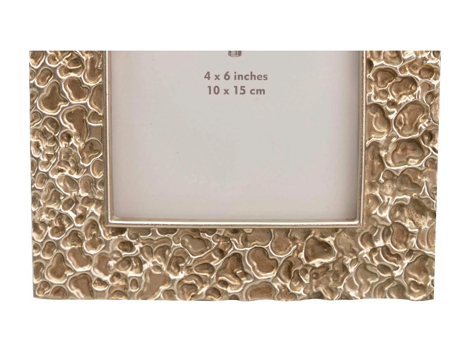 Portafotos Resina Plateado 10x15 Cm