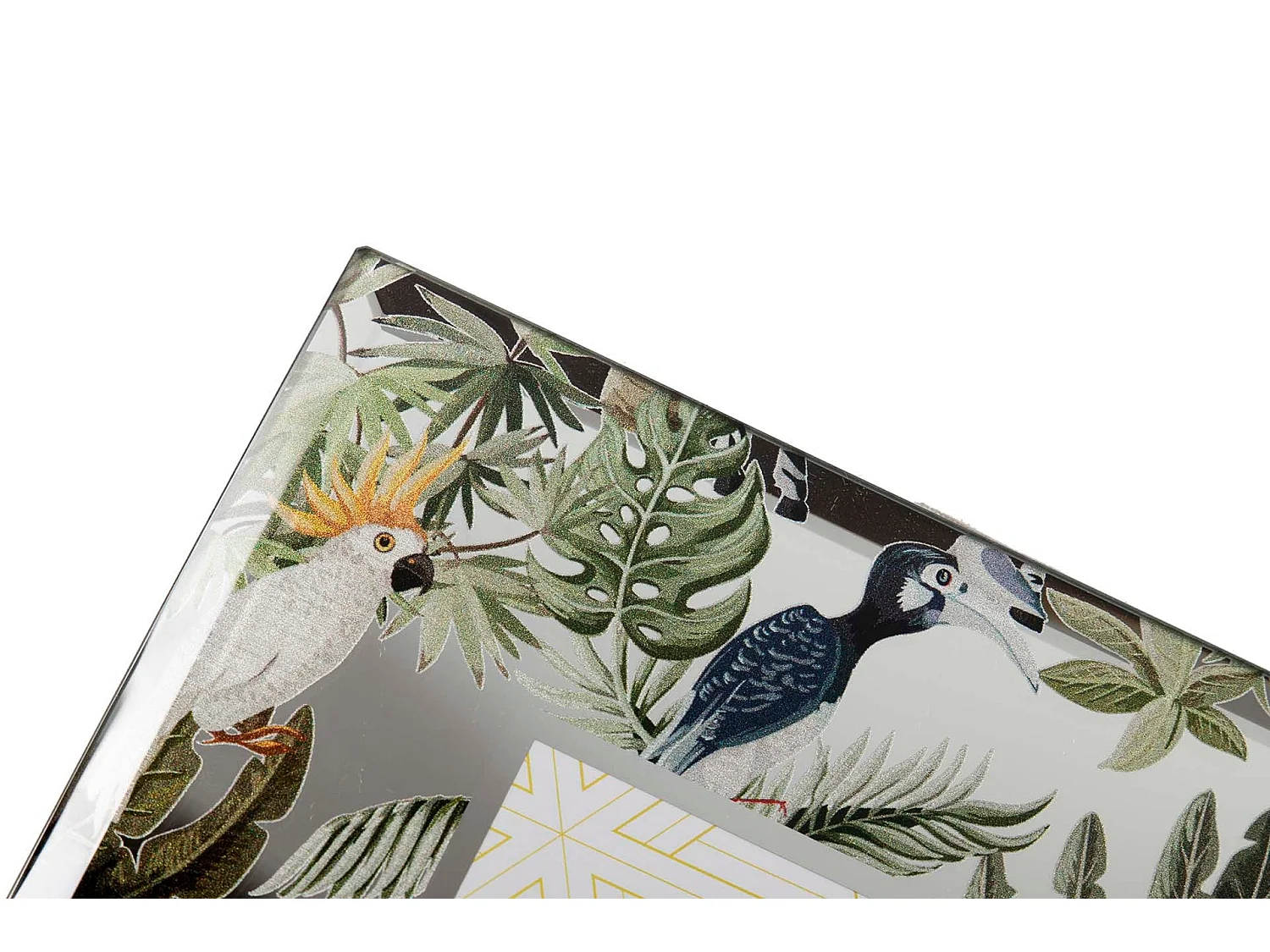 Portafotos Espejo Impresion Flores 10x15 Cm