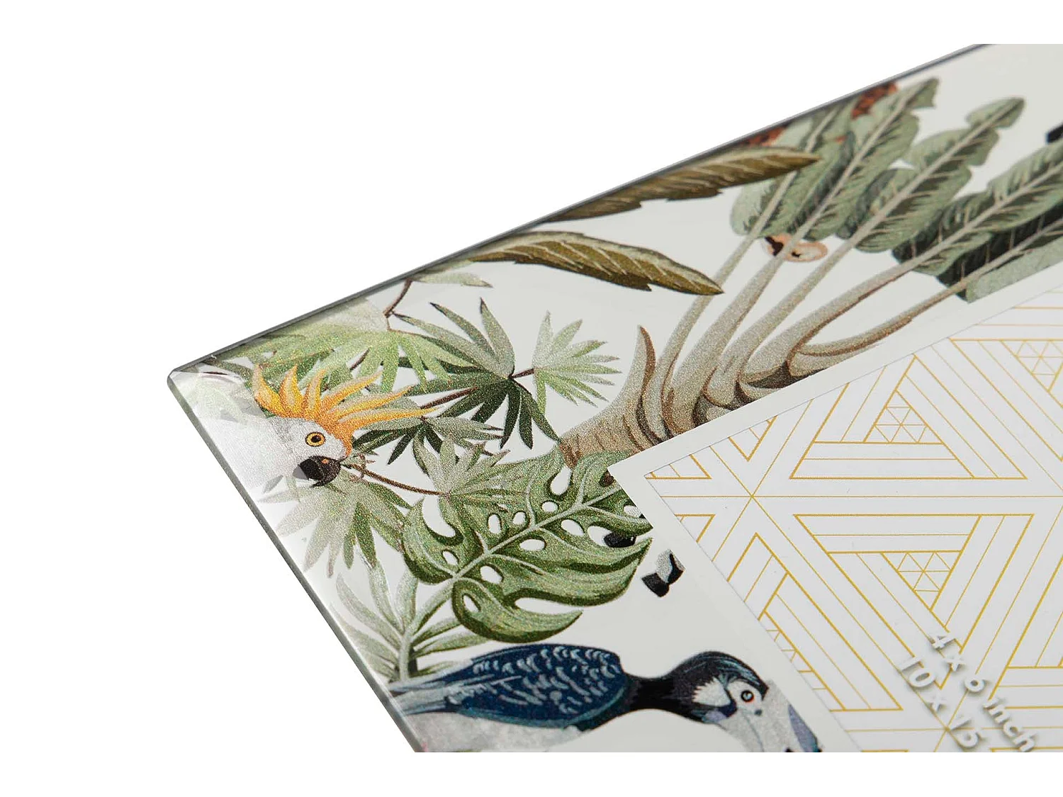 Portafotos Espejo Impresion Flores 10x15 Cm