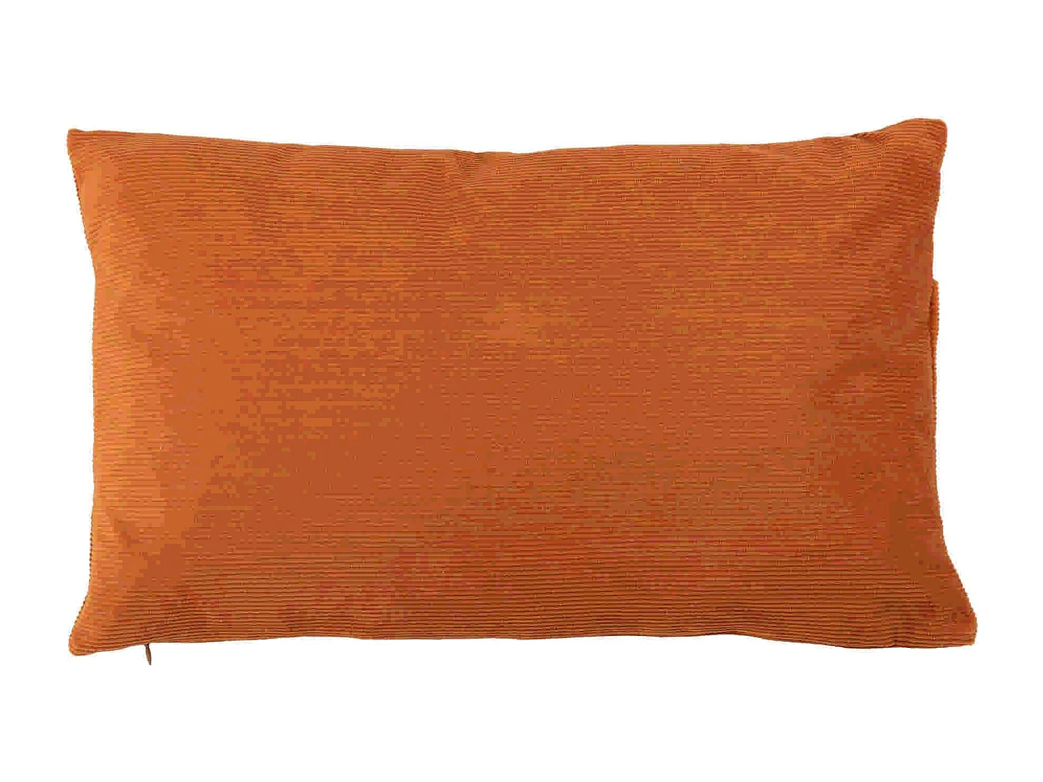 Cojin Poliester 53x13x33 Cm