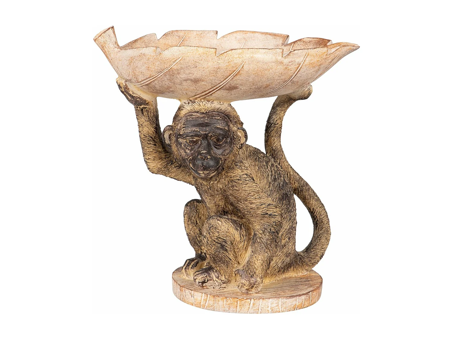 Mono C/bandeja Resina 23x14x24 Cm