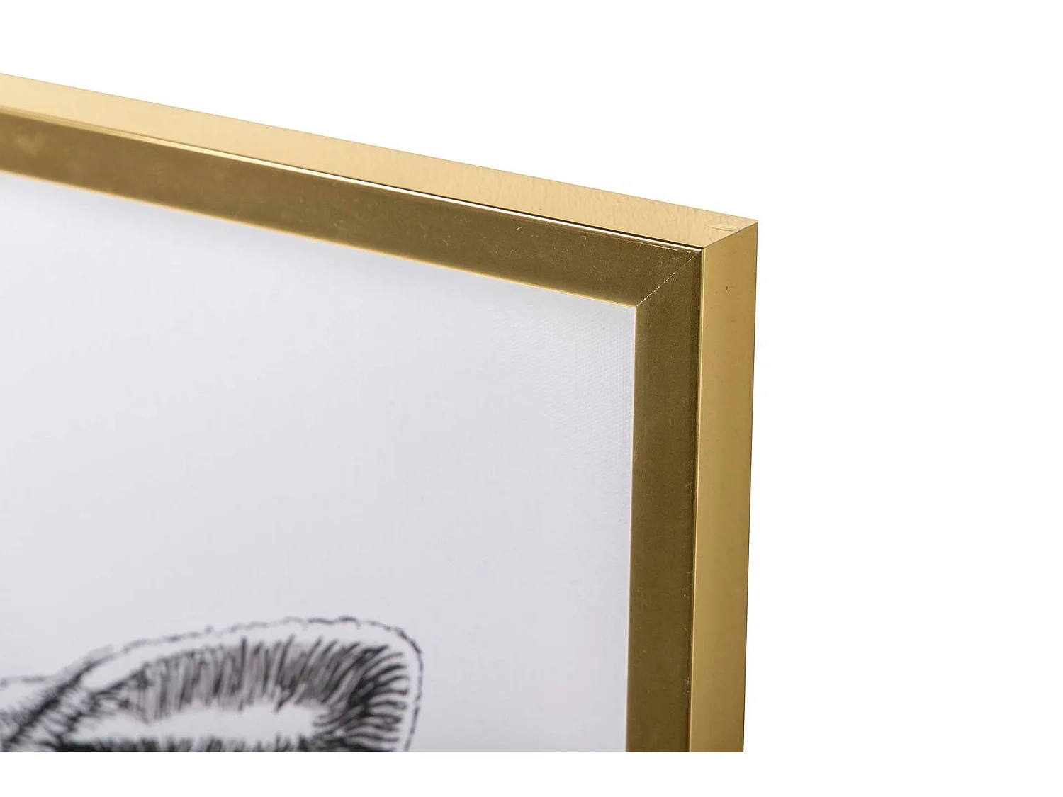 Cuadro Oveja Con Marco Ps 80x4x100 Cm