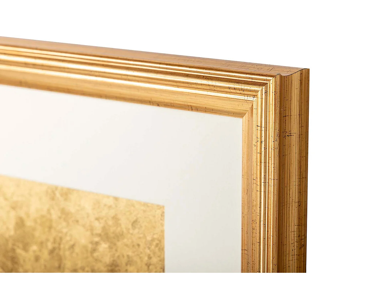 Cuadro Escarabajo Son Marco Ps  105x4x130 Cm