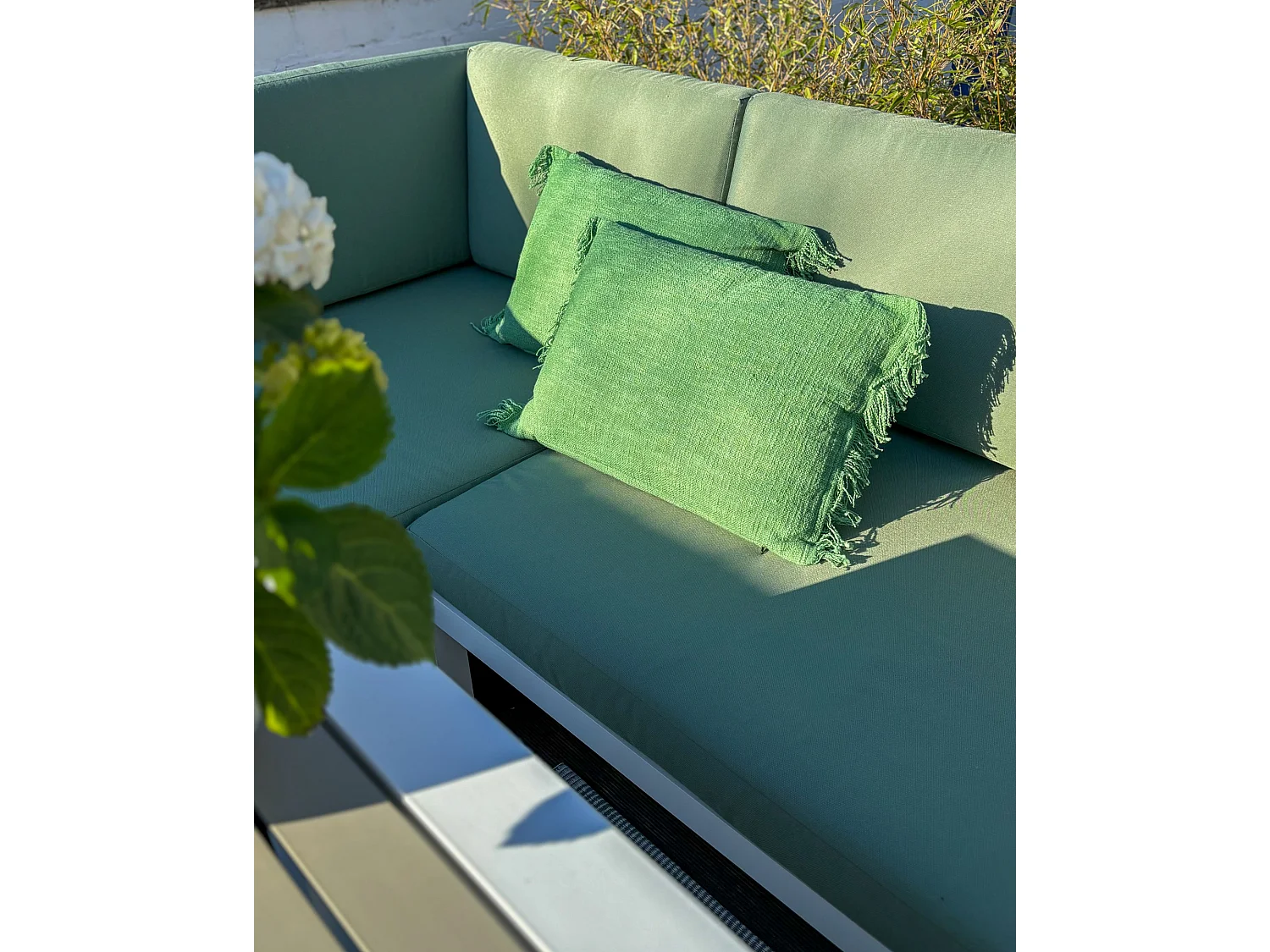 Set van 2 decoratieve kussens MABA Katoen 50 x 35 cm Groen Effen