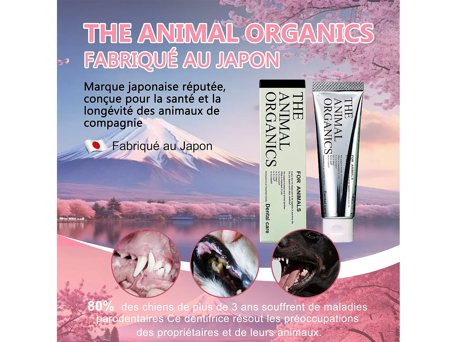 Dentifrice pour cheins 30g, Procure une haleine fraîche, Soins Dentifrice Contre La Mauvaise Haleine, Prevenir le tartre dentaire